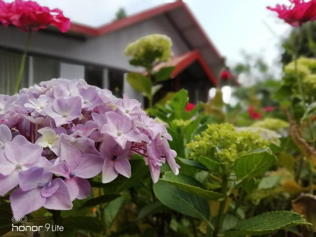 Pine Haven Resorts Takdāh Zewnętrze zdjęcie